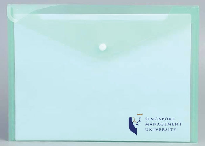 A4 PVC Button FIle