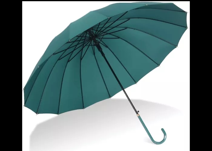 Bloom Umbrella